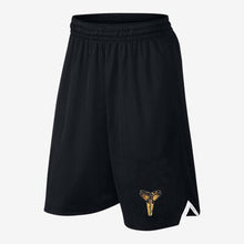 Load image into Gallery viewer, Training Shorts